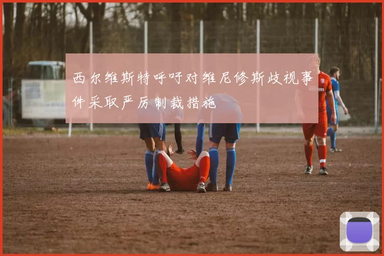 西尔维斯特呼吁对维尼修斯歧视事件采取严厉制裁措施